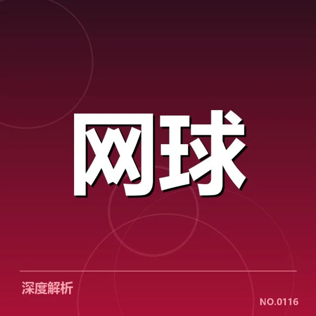 戴维斯杯新生代崛起：未来冠军之路是否可期